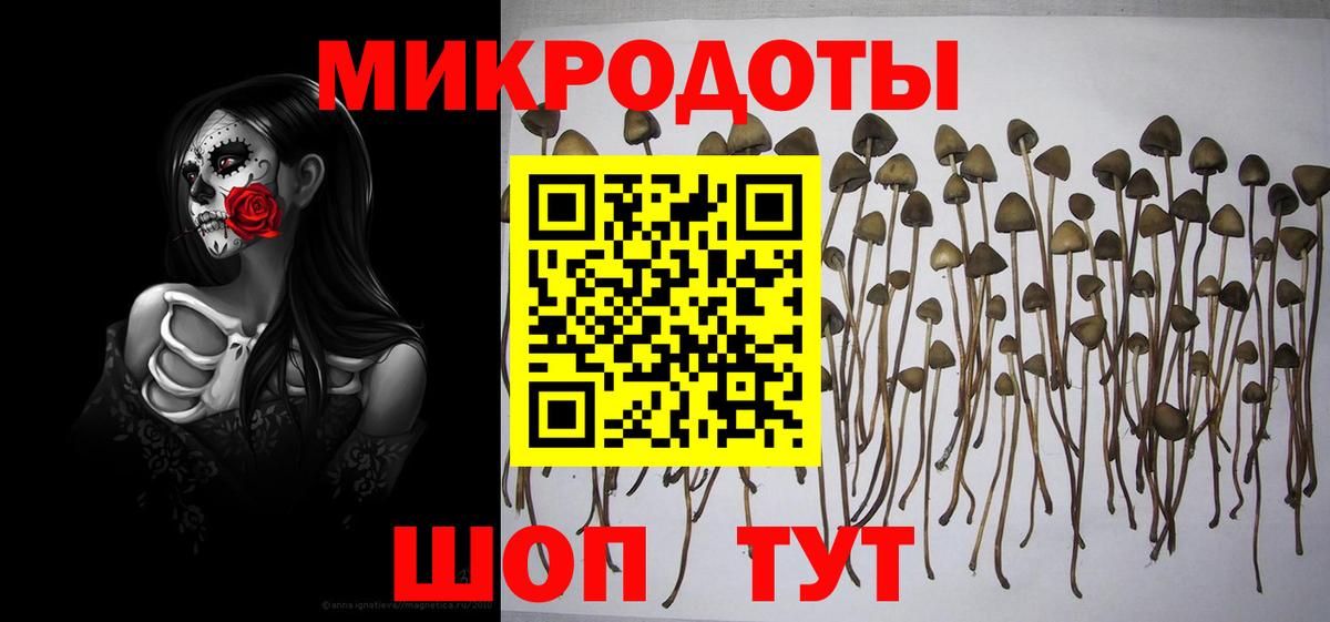 купить  сайты  Псилоцибиновые грибы мухоморы  Вход с VPN  Евпатория 